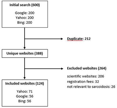 Is the internet a sufficient source of information on sarcoidosis?